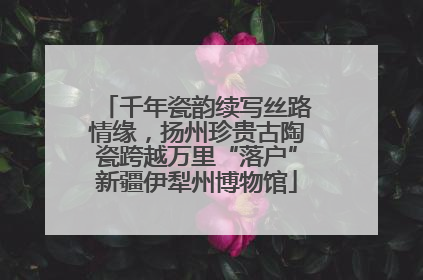 千年瓷韵续写丝路情缘，扬州珍贵古陶瓷跨越万里“落户”新疆伊犁州博物馆