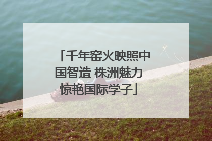 千年窑火映照中国智造 株洲魅力惊艳国际学子