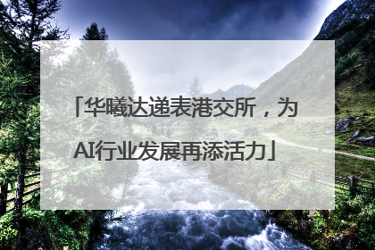 华曦达递表港交所，为AI行业发展再添活力