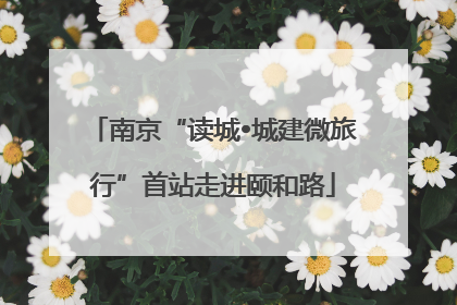 南京“读城•城建微旅行”首站走进颐和路