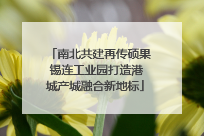 南北共建再传硕果 锡连工业园打造港城产城融合新地标