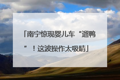 南宁惊现婴儿车“遛鸭”！这波操作太吸睛