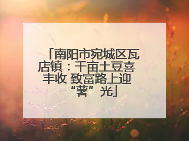 南阳市宛城区瓦店镇：千亩土豆喜丰收 致富路上迎“薯”光
