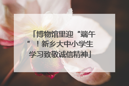博物馆里迎“端午”！新乡大中小学生学习致敬诚信精神