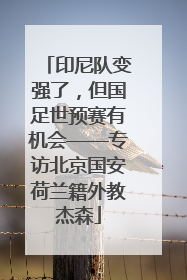 印尼队变强了，但国足世预赛有机会——专访北京国安荷兰籍外教杰森
