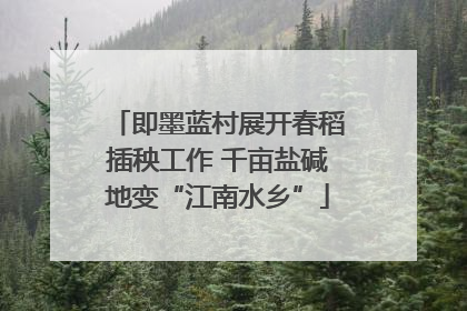 即墨蓝村展开春稻插秧工作 千亩盐碱地变“江南水乡”