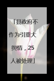 县政府不作为引重大舆情，25人被处理