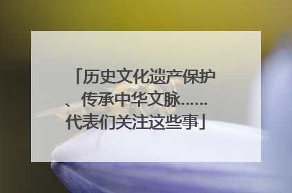 历史文化遗产保护、传承中华文脉……代表们关注这些事