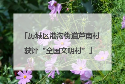 历城区港沟街道芦南村获评“全国文明村”