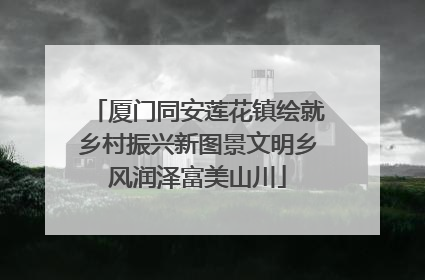 厦门同安莲花镇绘就乡村振兴新图景文明乡风润泽富美山川