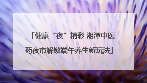 健康“夜”精彩 湘潭中医药夜市解锁端午养生新玩法