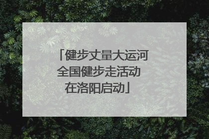 健步丈量大运河 全国健步走活动在洛阳启动