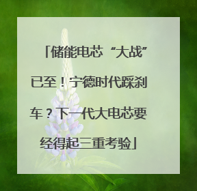 储能电芯“大战”已至！宁德时代踩刹车？下一代大电芯要经得起三重考验