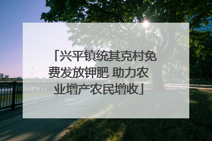 兴平镇统其克村免费发放钾肥 助力农业增产农民增收