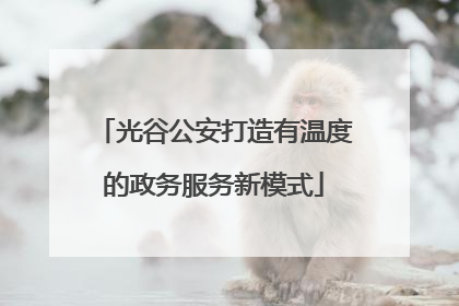 光谷公安打造有温度的政务服务新模式