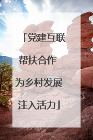 党建互联帮扶合作 为乡村发展注入活力