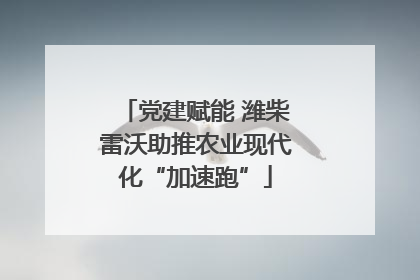 党建赋能 潍柴雷沃助推农业现代化“加速跑”