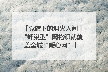 党旗下的烟火人间丨“蜂巢型”网格织就覆盖全城“暖心网”