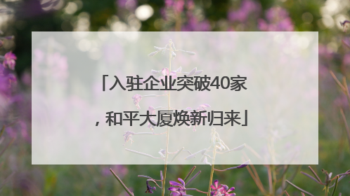 入驻企业突破40家，和平大厦焕新归来