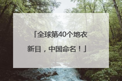 全球第40个地衣新目，中国命名！
