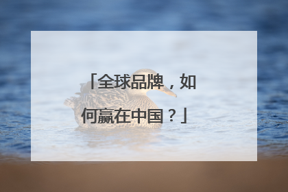 全球品牌，如何赢在中国？