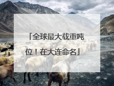 全球最大载重吨位！在大连命名