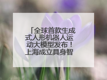全球首款生成式人形机器人运动大模型发布！上海成立具身智能数据联盟