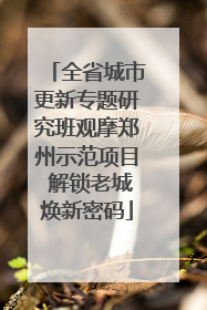 全省城市更新专题研究班观摩郑州示范项目 解锁老城焕新密码