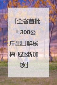 全省首批！300公斤出口鲜杨梅飞赴新加坡