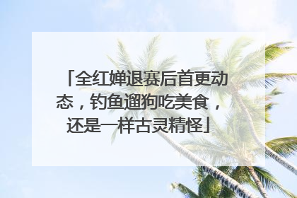 全红婵退赛后首更动态，钓鱼遛狗吃美食，还是一样古灵精怪