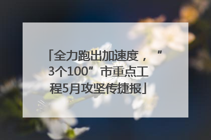 全力跑出加速度，“3个100”市重点工程5月攻坚传捷报
