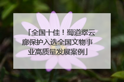 全国十佳！蜀道翠云廊保护入选全国文物事业高质量发展案例