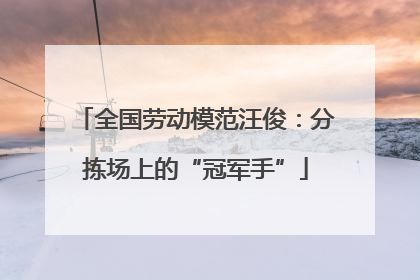 全国劳动模范汪俊：分拣场上的“冠军手”