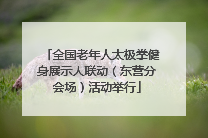 全国老年人太极拳健身展示大联动（东营分会场）活动举行