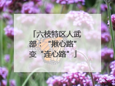 六枝特区人武部：“揪心路”变“连心路”