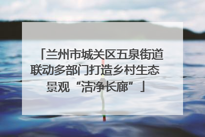 兰州市城关区五泉街道联动多部门打造乡村生态景观“洁净长廊”