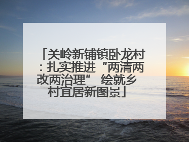 关岭新铺镇卧龙村：扎实推进“两清两改两治理” 绘就乡村宜居新图景