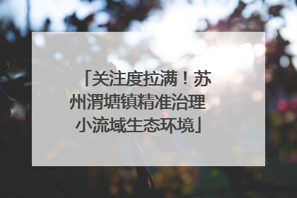 关注度拉满！苏州渭塘镇精准治理小流域生态环境