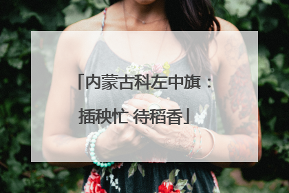 内蒙古科左中旗：插秧忙 待稻香