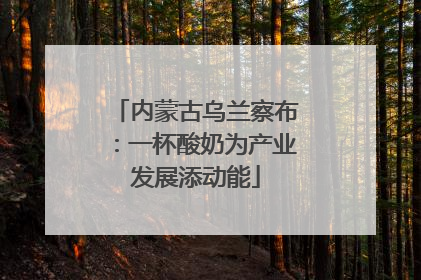 内蒙古乌兰察布：一杯酸奶为产业发展添动能