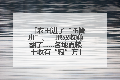 农田进了“托管班”、一地双收赚翻了……各地夏粮丰收有“粮”方