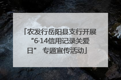 农发行岳阳县支行开展“6·14信用记录关爱日” 专题宣传活动