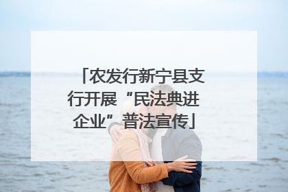 农发行新宁县支行开展“民法典进企业”普法宣传