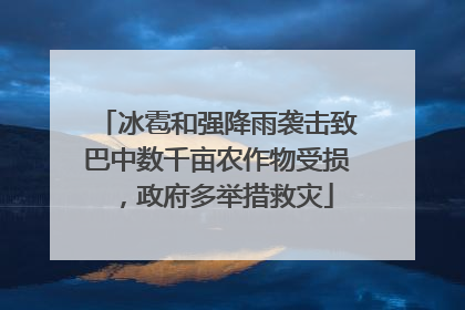 冰雹和强降雨袭击致巴中数千亩农作物受损，政府多举措救灾