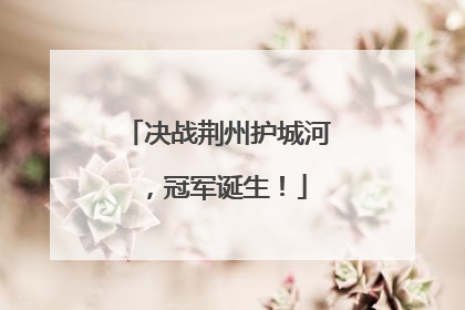 决战荆州护城河，冠军诞生！