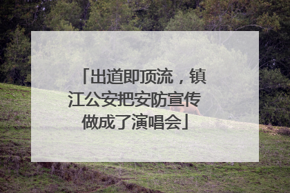 出道即顶流，镇江公安把安防宣传做成了演唱会