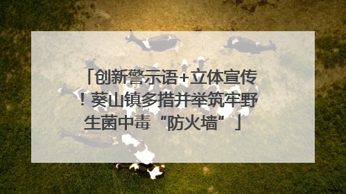 创新警示语+立体宣传！葵山镇多措并举筑牢野生菌中毒“防火墙”