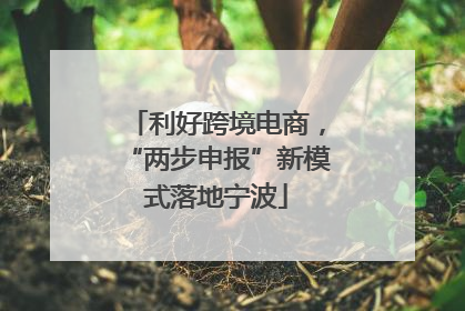 利好跨境电商，“两步申报”新模式落地宁波