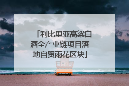 利比里亚高粱白酒全产业链项目落地自贸雨花区块
