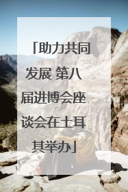 助力共同发展 第八届进博会座谈会在土耳其举办